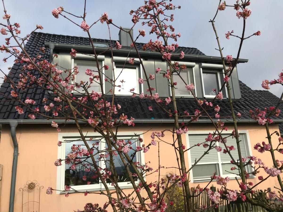 Kleine Auszeit Mit Aussicht Velbert Toenisheide Apartamento Exterior foto