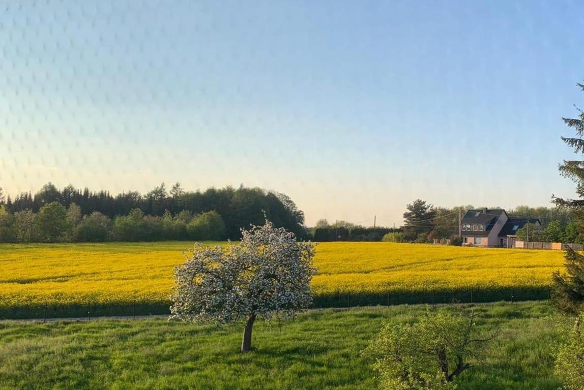 Kleine Auszeit Mit Aussicht Velbert Toenisheide Apartamento Exterior foto